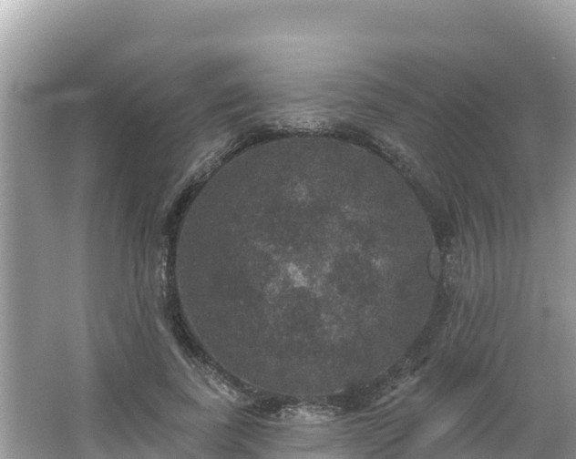 X0000066010739200603101556