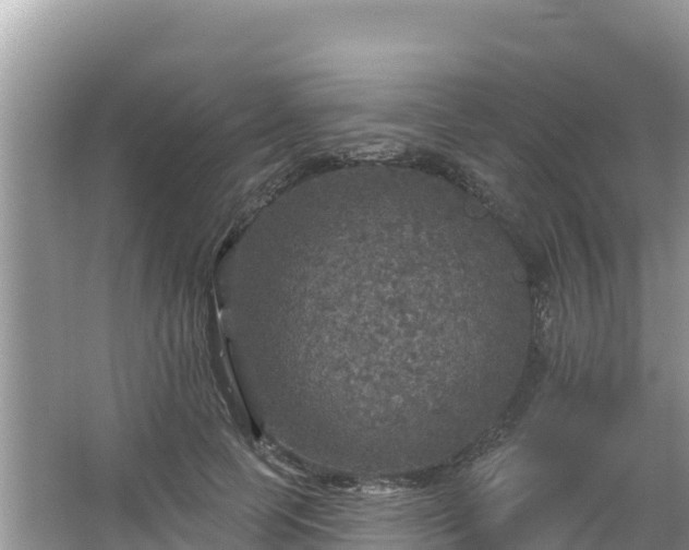 X0000066010745200603101556