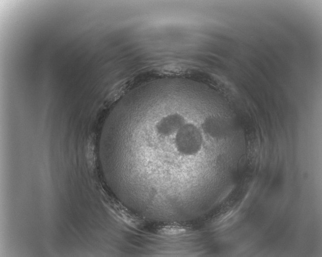 X0000066010749200603101556