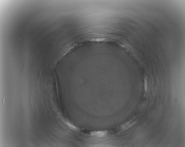 X0000066010750200603101556