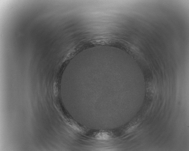 X0000066010751200603101556