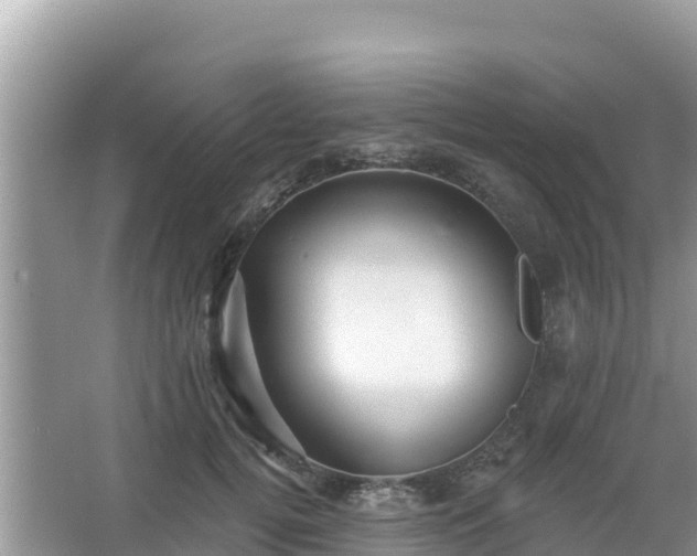 X0000066010752200603101556