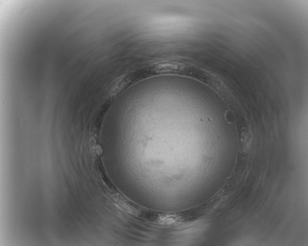 X0000066010753200603101556