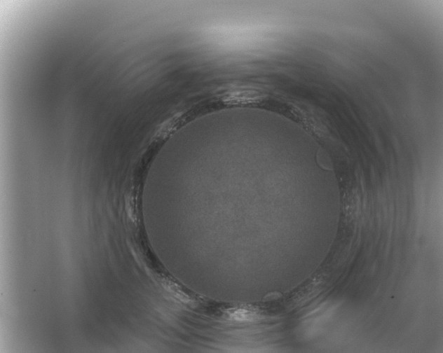 X0000066010755200603101556