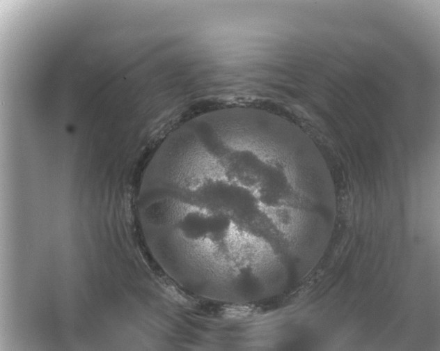 X0000066010757200603101556