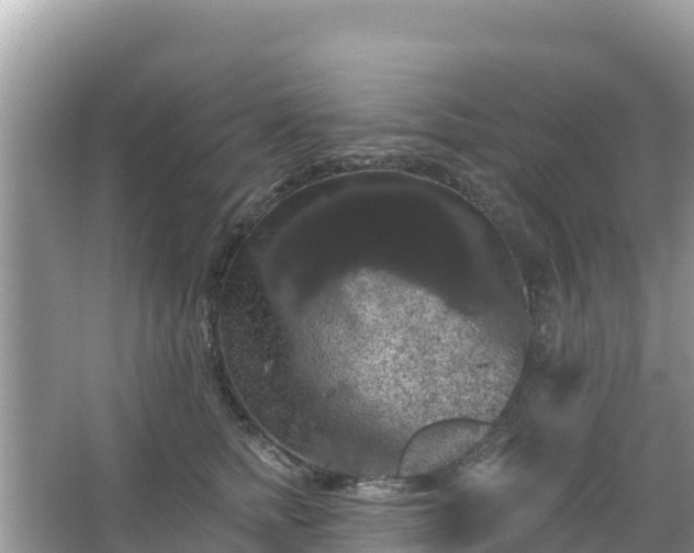 X0000066010758200603101556