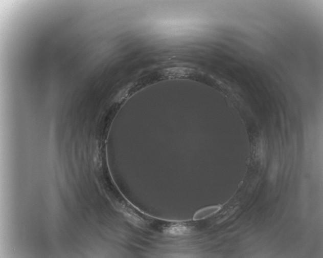 X0000066010759200603101556