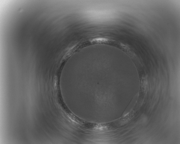 X0000066010760200603101556