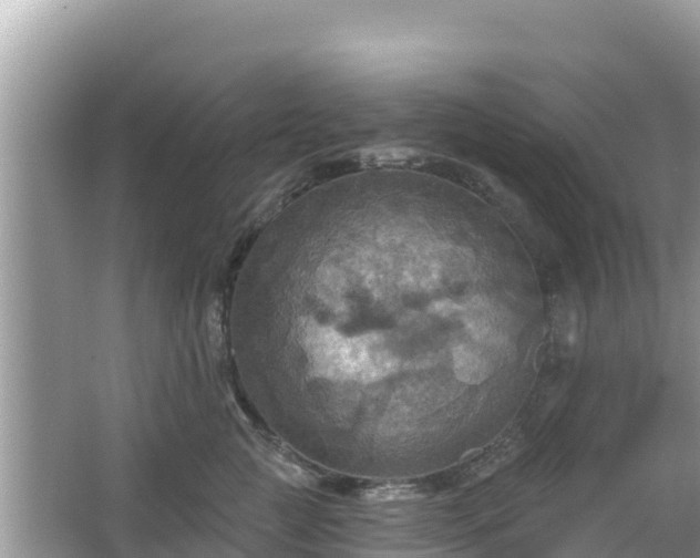 X0000066010761200603101556