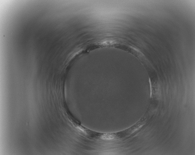 X0000066010762200603101556