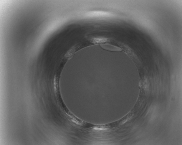 X0000066010763200603101556