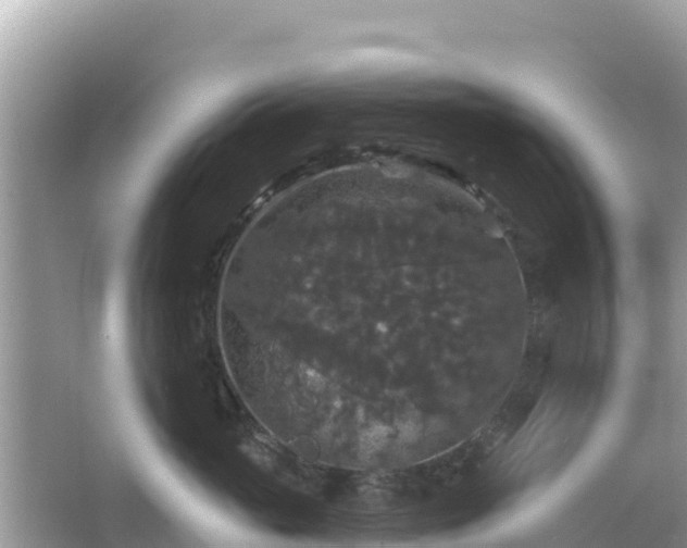 X0000066010765200603101556