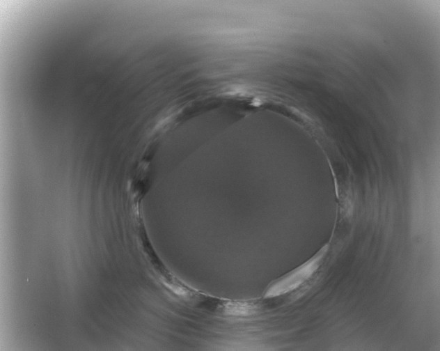 X0000066010766200603101556