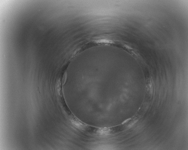 X0000066010767200603101556