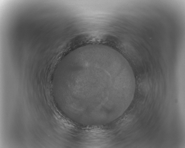 X0000066010769200603101556