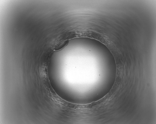 X0000066010770200603101556