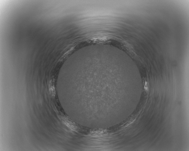 X0000066010771200603101556