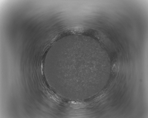 X0000066010772200603101556