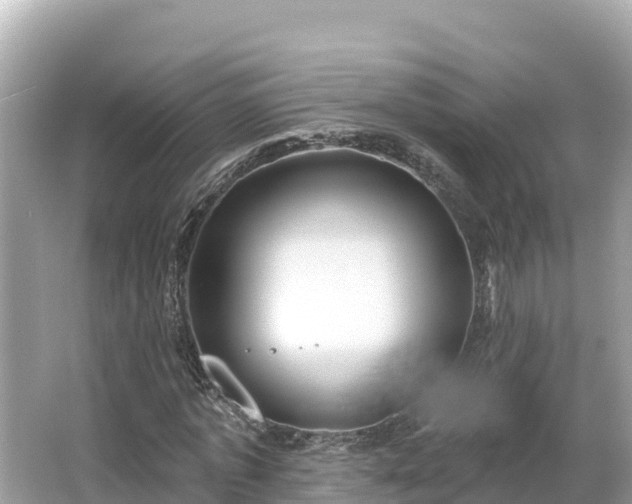 X0000066010773200603101556