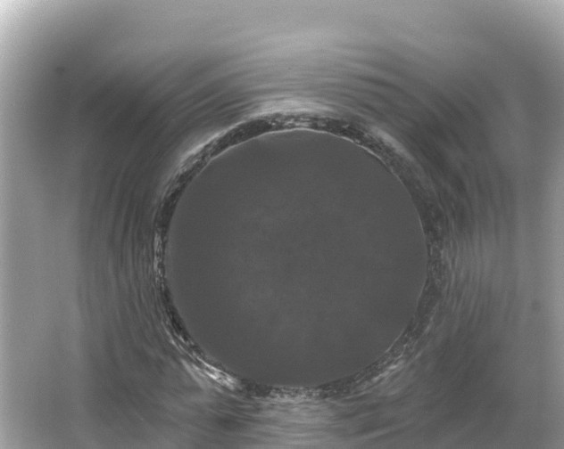 X0000066010775200603101556