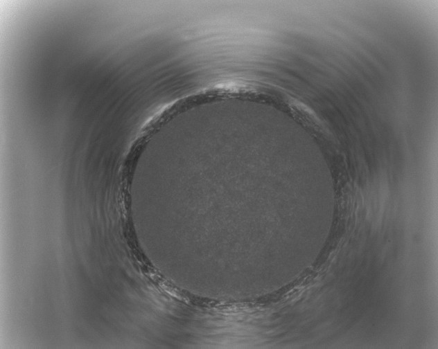 X0000066010776200603101555