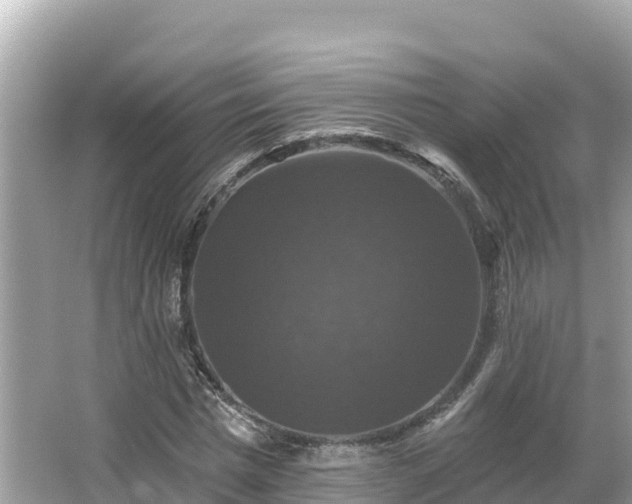 X0000066010777200603101555