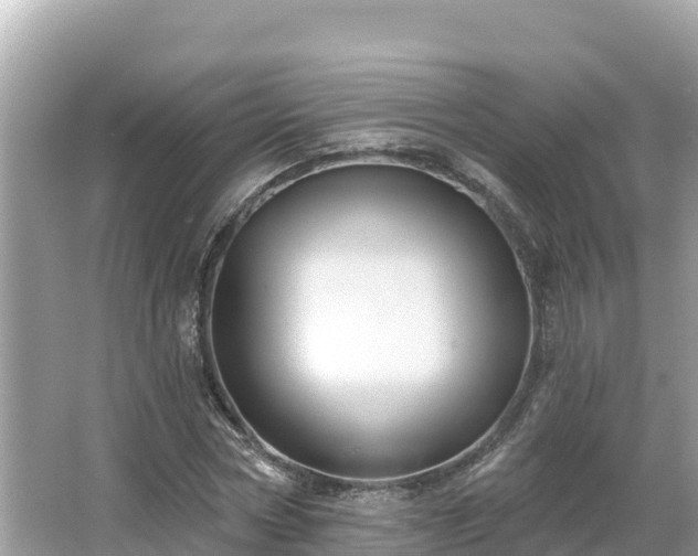 X0000066010778200603101555