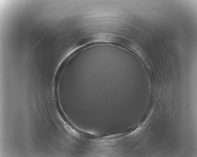 X0000066010779200603101555