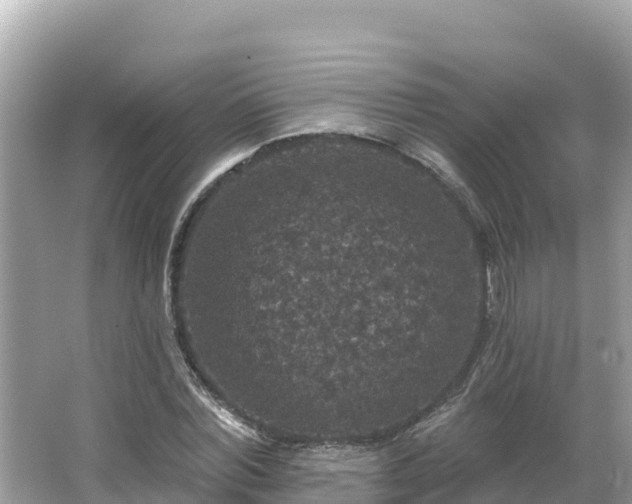 X0000066010780200603101555