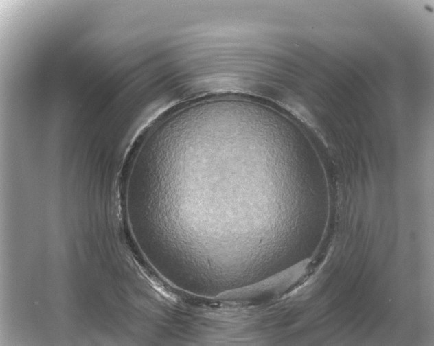 X0000066010782200603101555