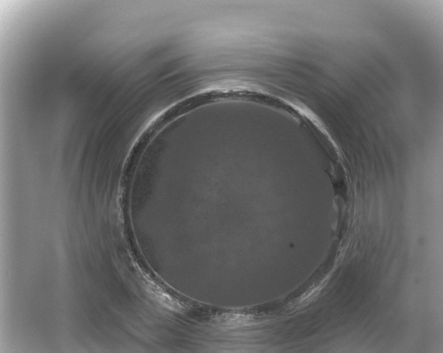 X0000066010783200603101555