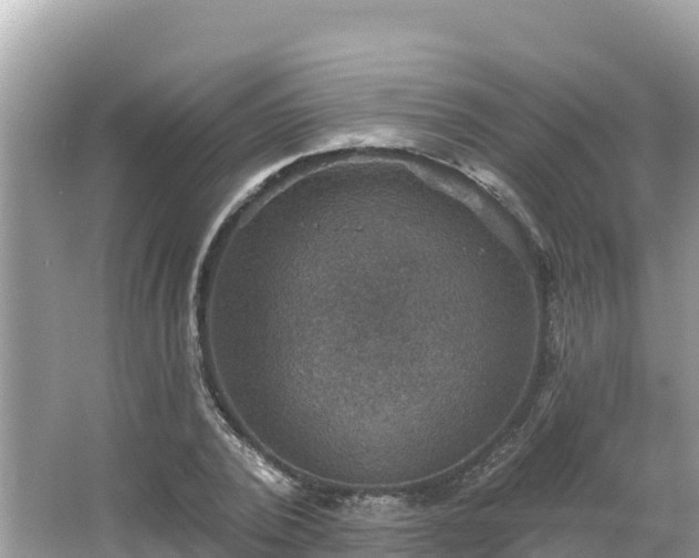 X0000066010784200603101555