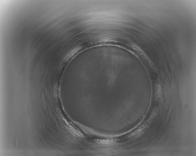 X0000066010785200603101555