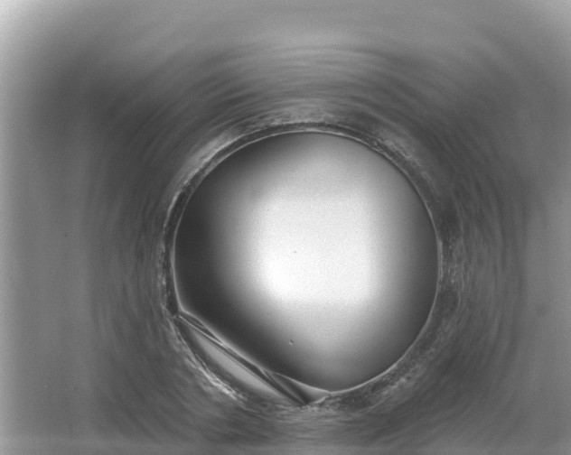 X0000066010786200603101555