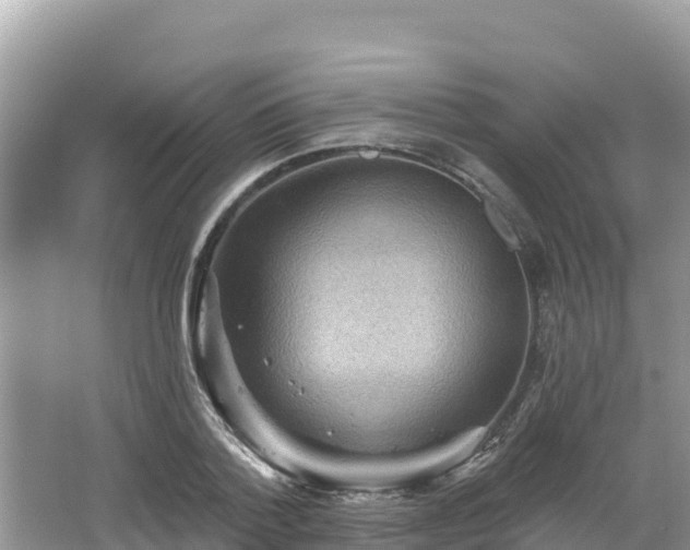 X0000066010788200603101555