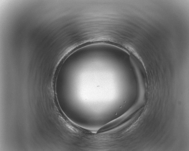 X0000066010789200603101555