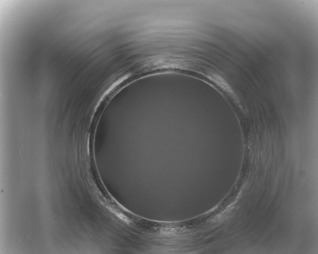 X0000066010790200603101555