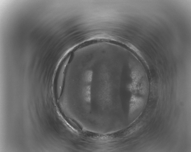 X0000066010791200603101555