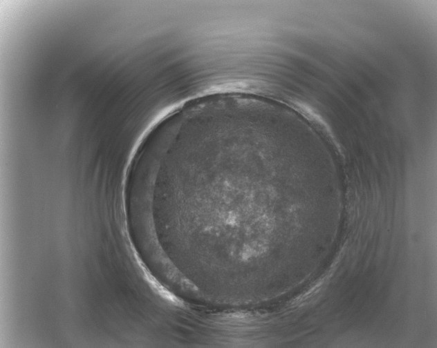 X0000066010792200603101555