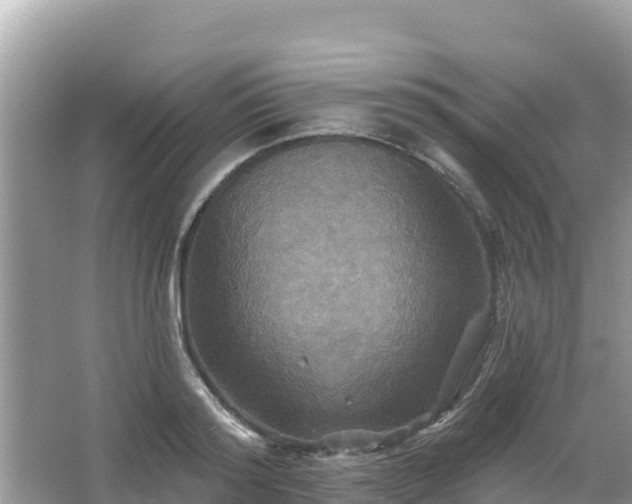 X0000066010796200603101555