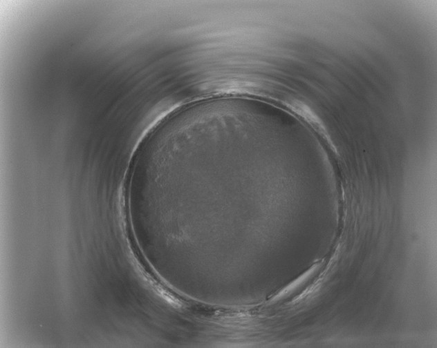 X0000066010798200603101555