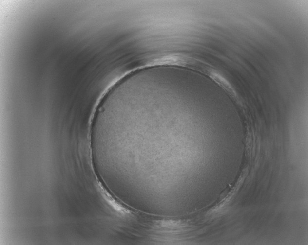 X0000066010800200603101555