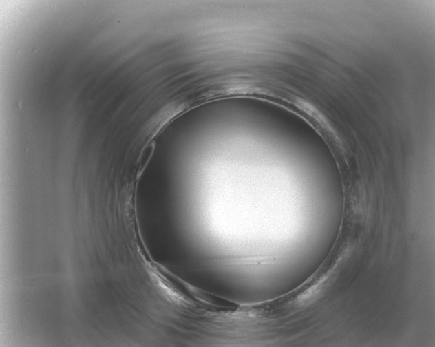 X0000066010801200603101555