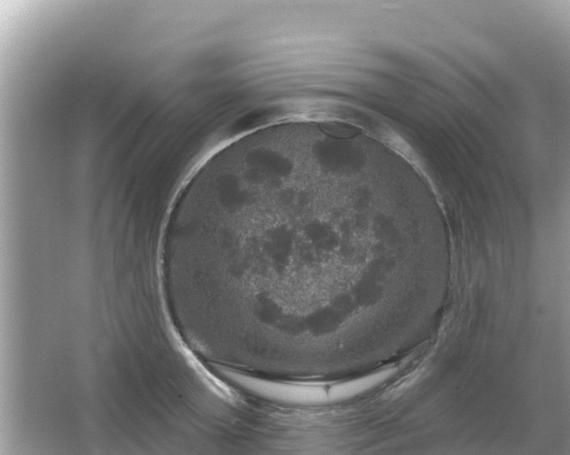 X0000066010803200603101555