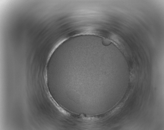 X0000066010804200603101555