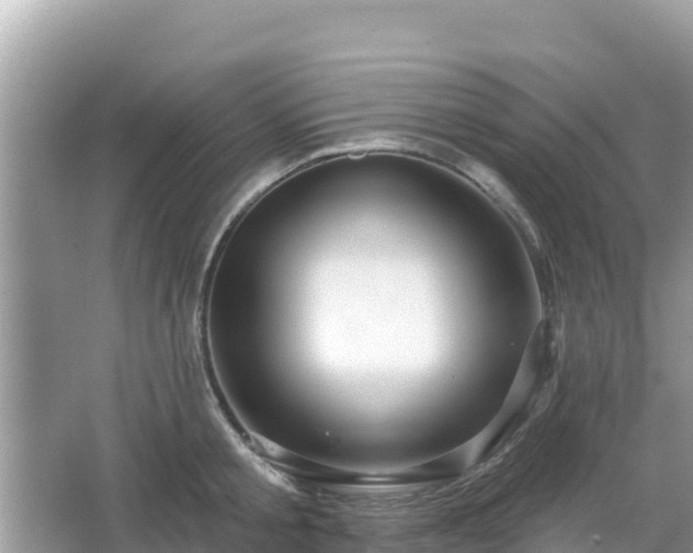 X0000066010805200603101555