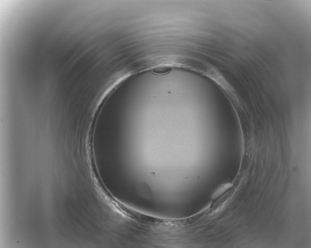 X0000066010806200603101555