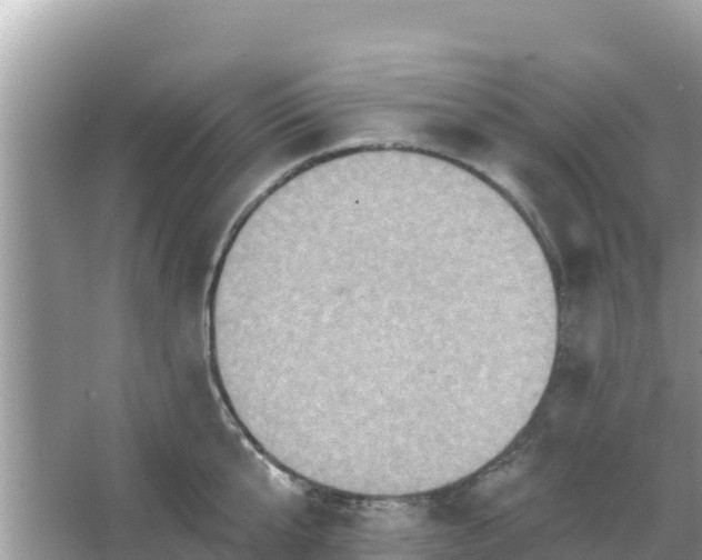 X0000066010807200603101555