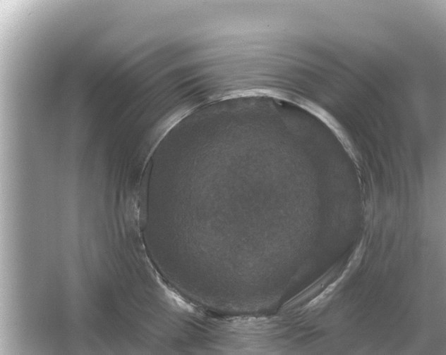 X0000066010809200603101555