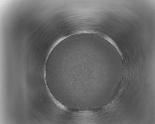 X0000066010811200603101555